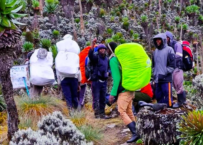 explore-the-majesty-of-mount-rwenzori-with-short-excursion-tours