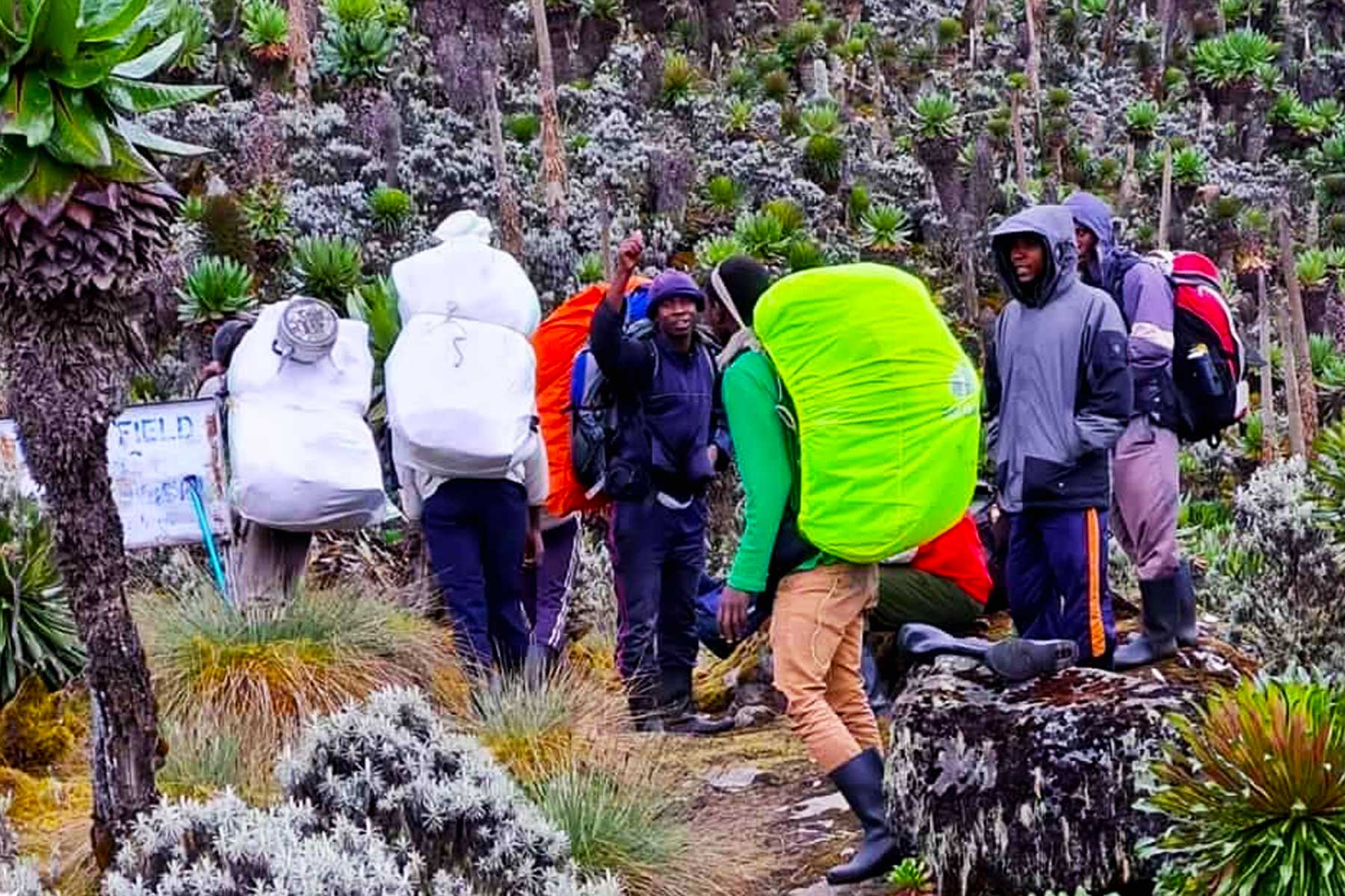 explore-the-majesty-of-mount-rwenzori-with-short-excursion-tours
