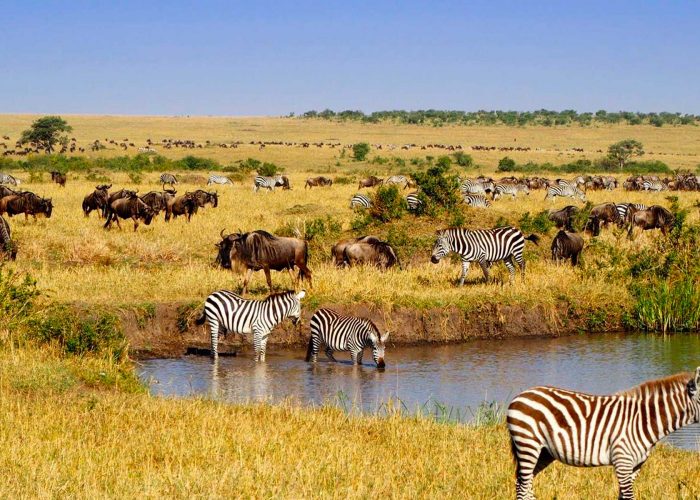 game-drive-in-ngorongoro-crater