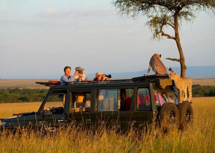 game-drive-in-serengeti-national-park