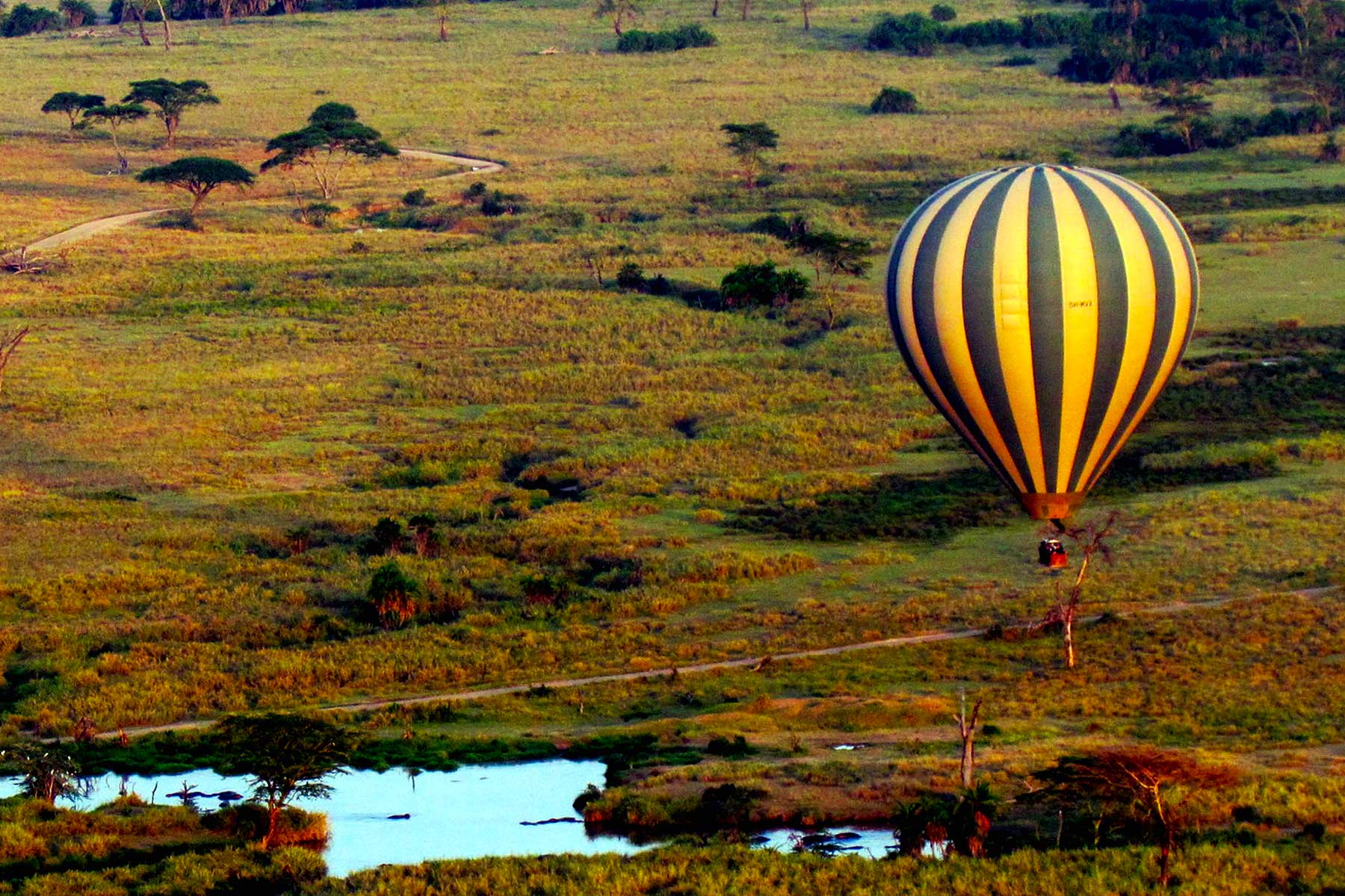 Hot Air Balloon Safari in Serengeti National Park