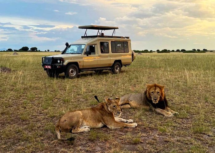 how-much-does-it-cost-to-go-on-a-safari-in-uganda