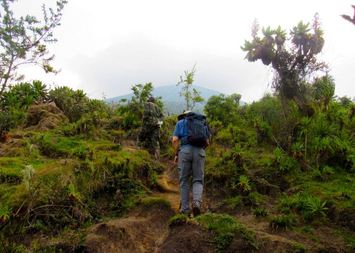 mount-karisimbi-tour-with-one-more-adventure-safaris