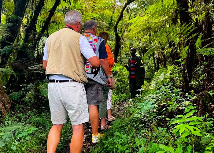 nature-walk-in-kibira-national-park