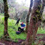 ultimate-guide-to-hiking-mount-karisimbi-in-rwanda