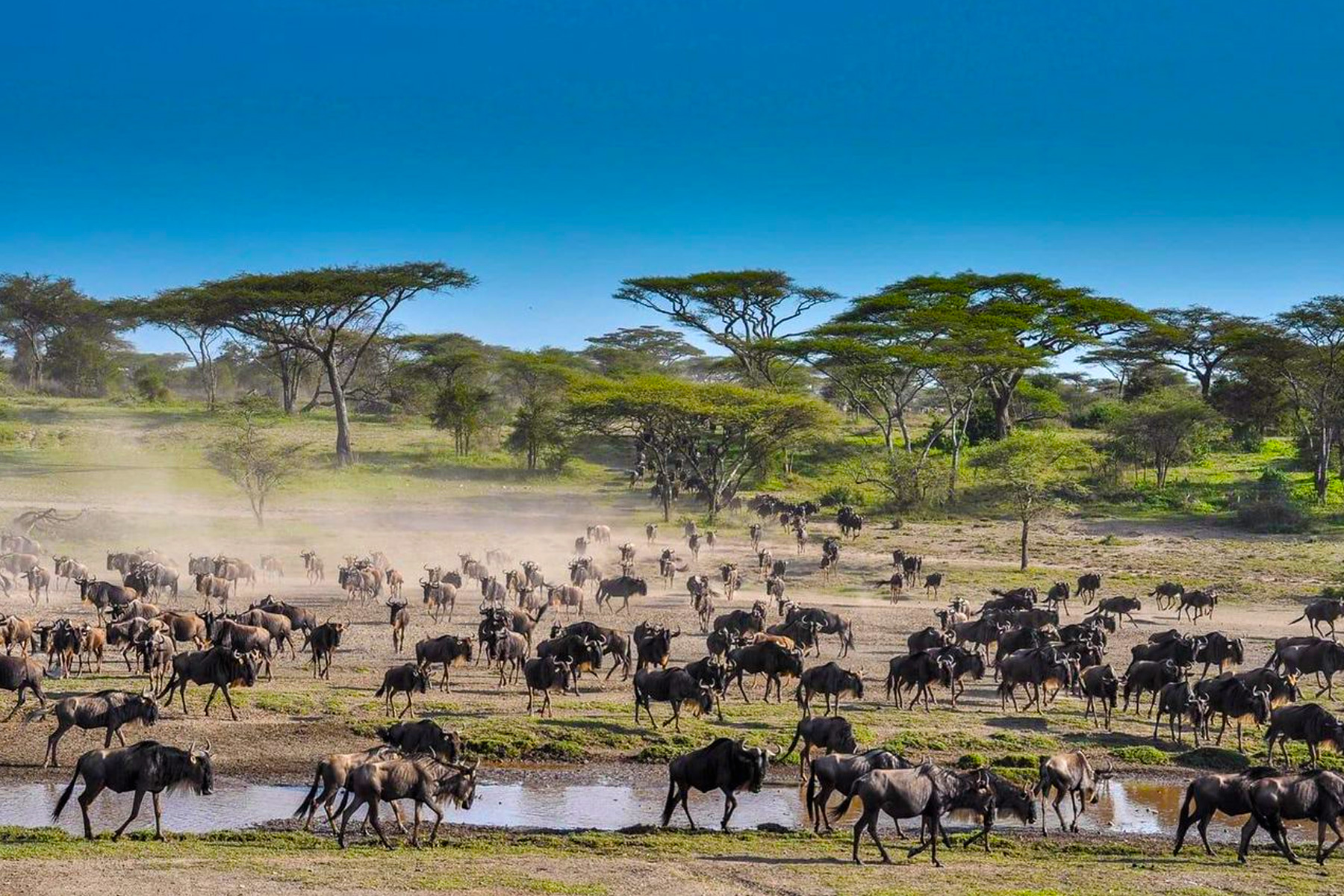 18-days-rwanda-kenya-tanzania-and-zanzibar-adventure-safari