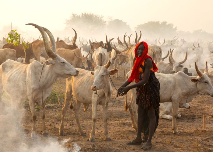 3-days-mundari-cattle-camp-photography-tour