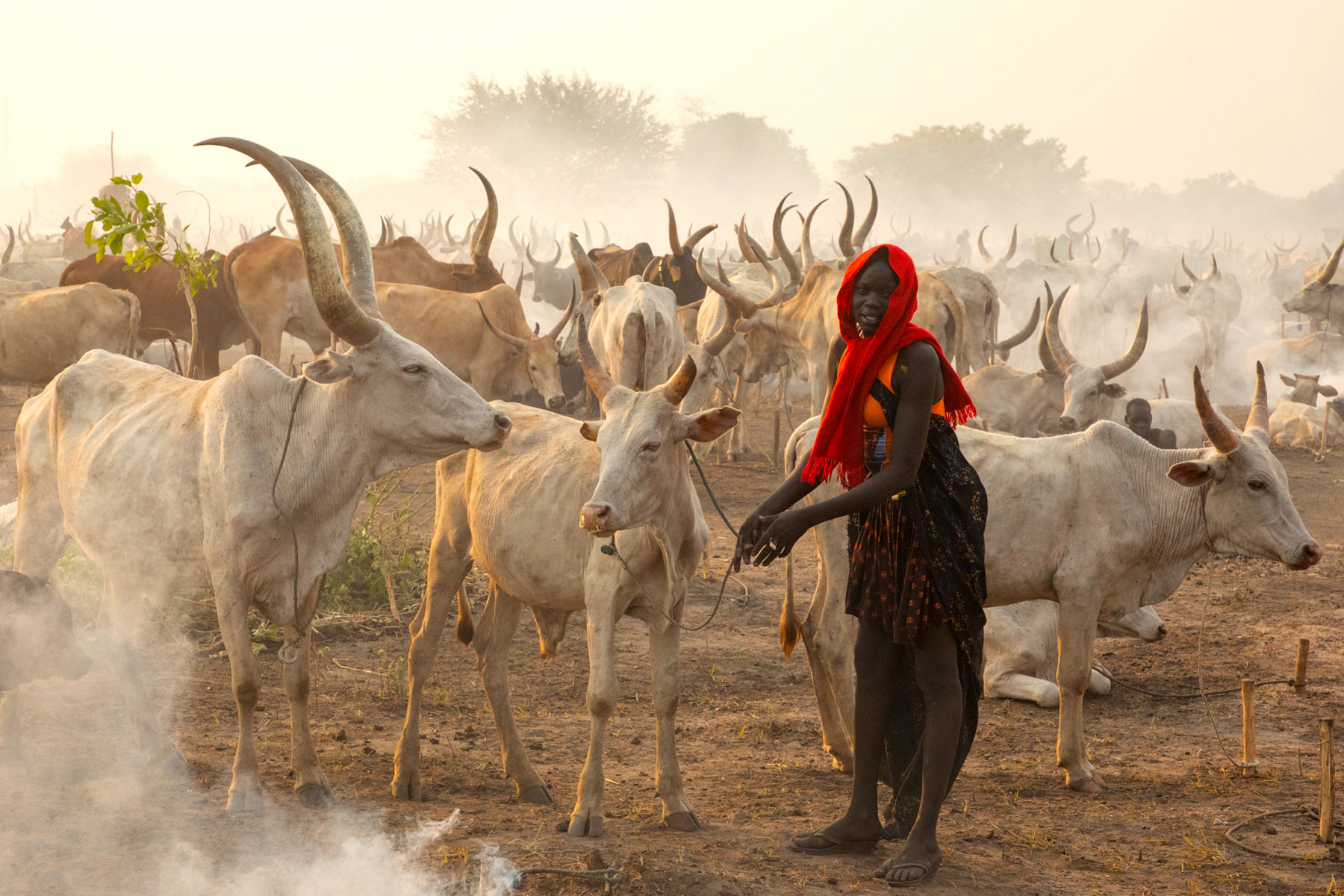 3-days-mundari-cattle-camp-photography-tour