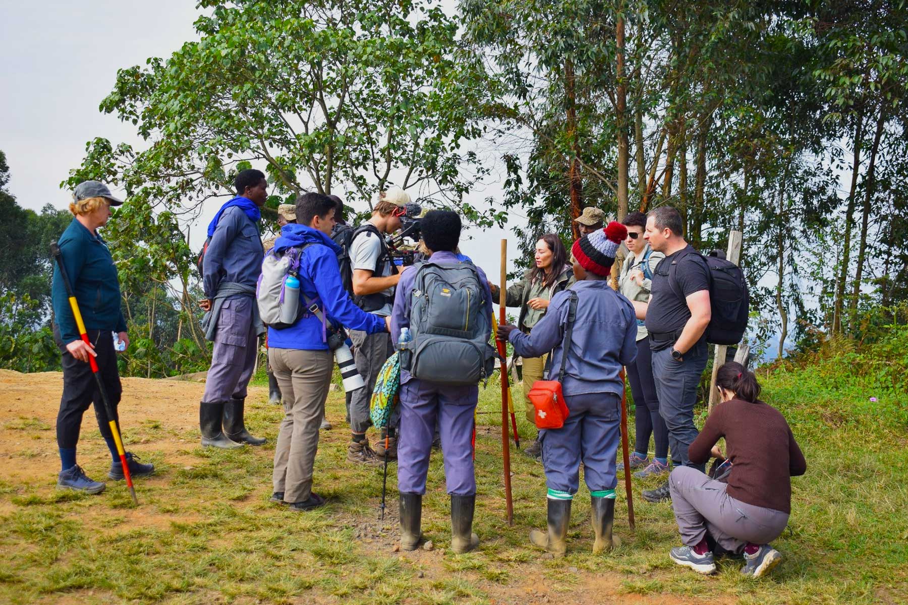 bwindi-gorilla-trekking-and-nature-walk-safaris