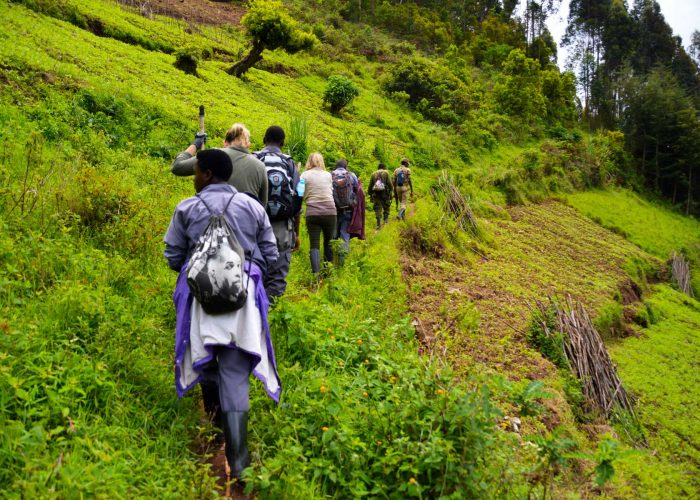 bwindi-walking-tour-and-gorilla-trek