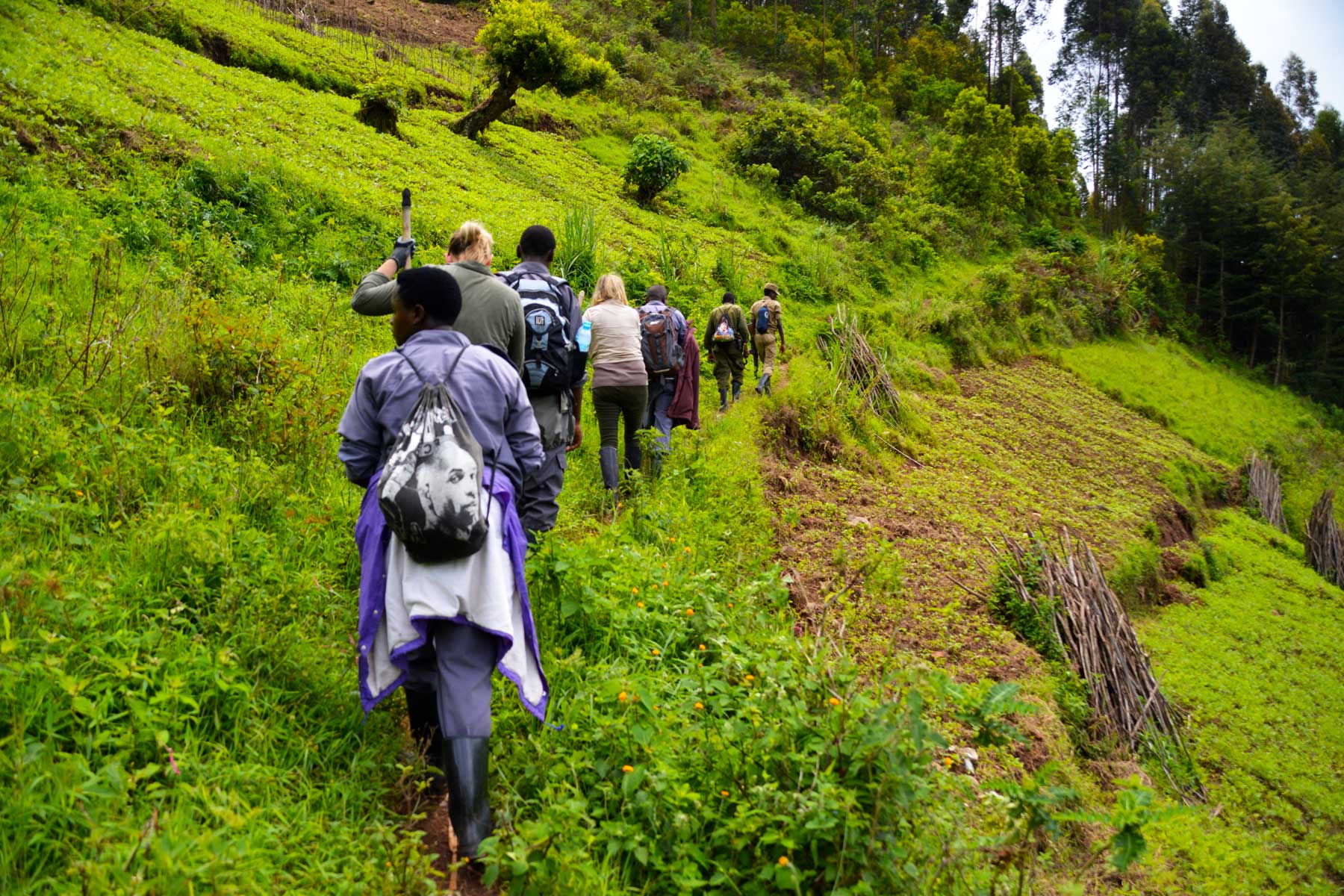 bwindi-walking-tour-and-gorilla-trek