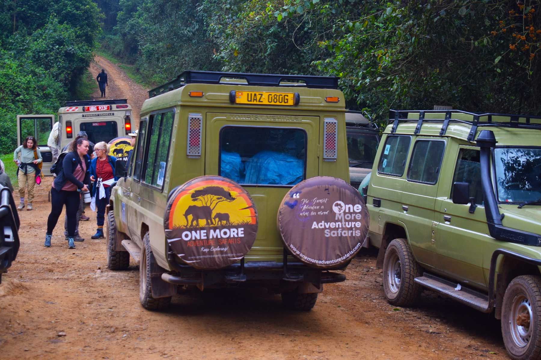 double-gorilla-trekking-and-nature-walk-extravaganza-in-bwindi-impenetrable-national-park