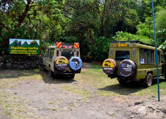 embark-on-a-unique-adventure-in-mgahinga-national-park