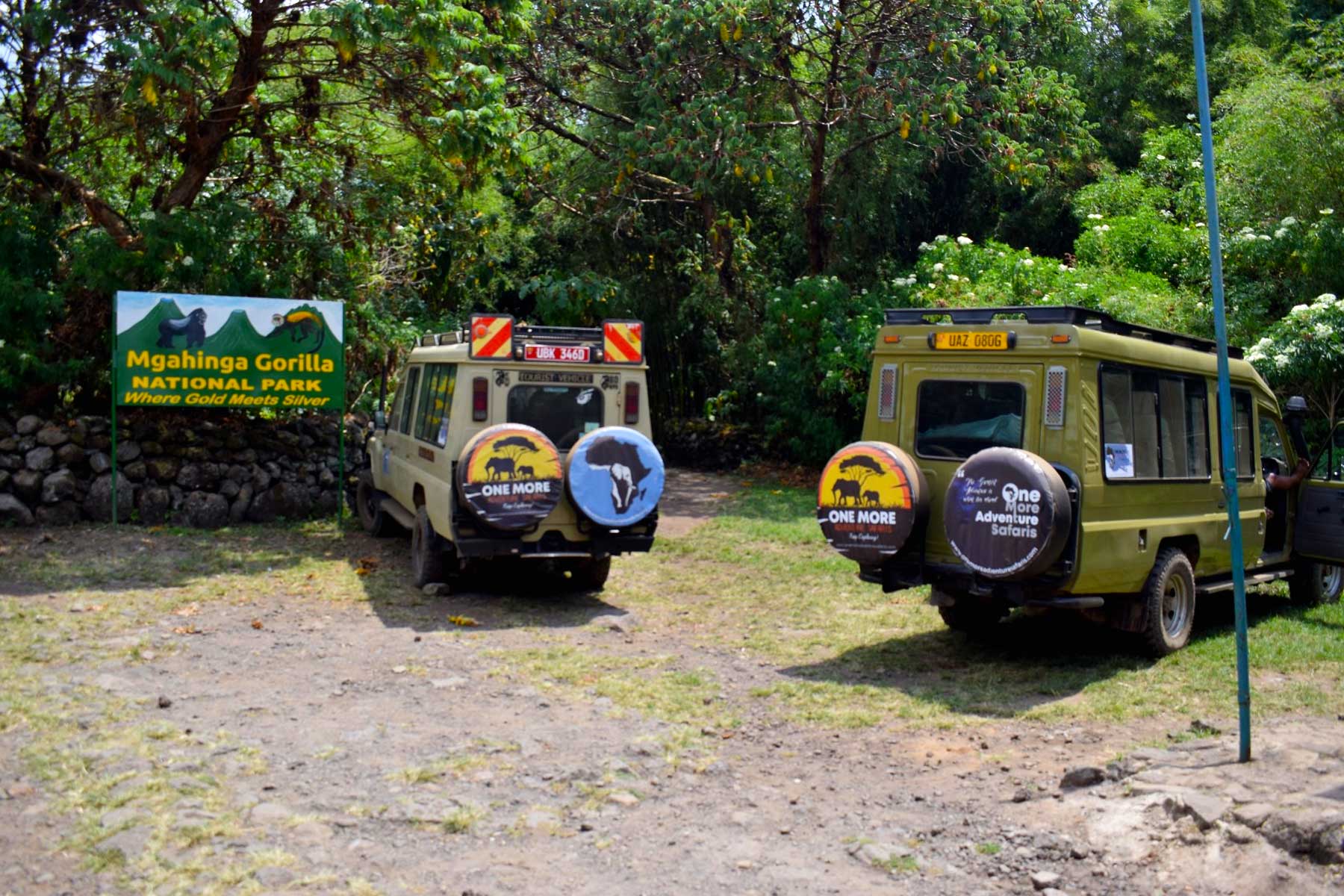 embark-on-a-unique-adventure-in-mgahinga-national-park