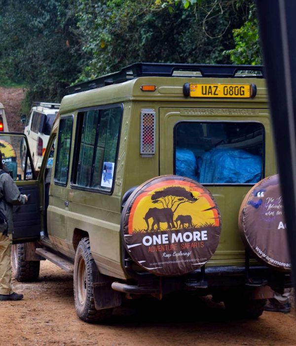 rwanda-uganda-gorilla-trekking-tours