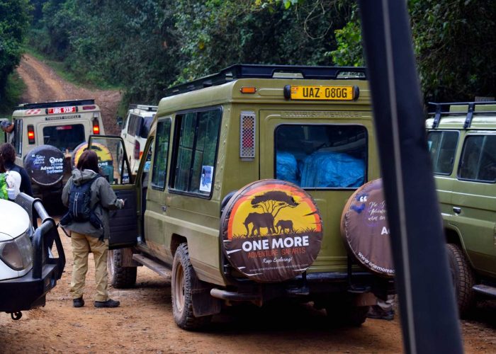 rwanda-uganda-gorilla-trekking-tours