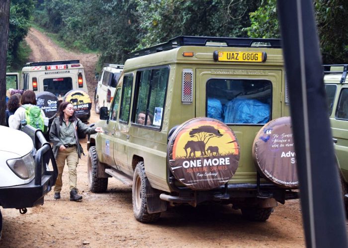 seamless-gorilla-trek-transfers-to-bwindi-impenetrable-national-park