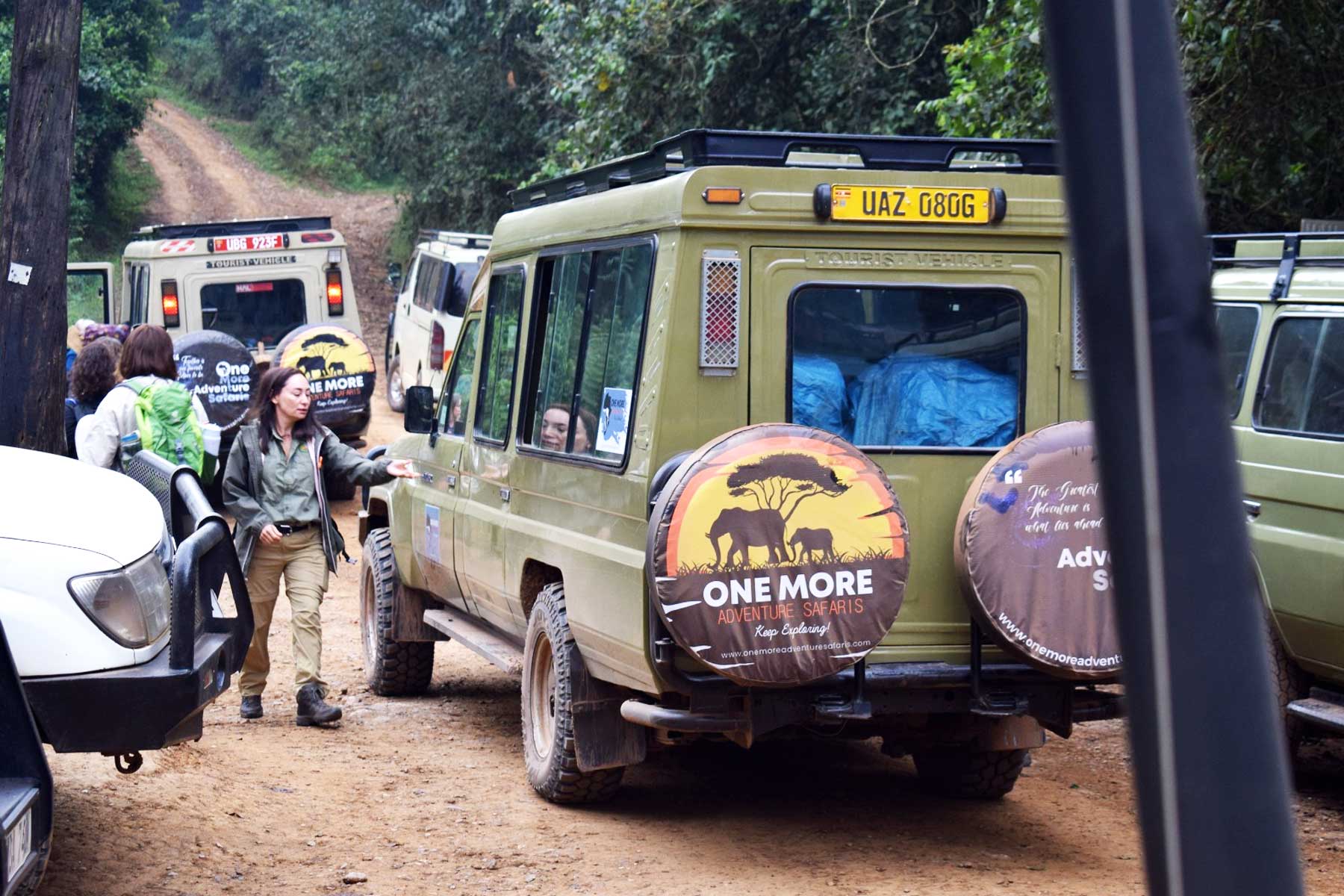 seamless-gorilla-trek-transfers-to-bwindi-impenetrable-national-park