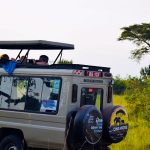 the-ultimate-safari-game-drive