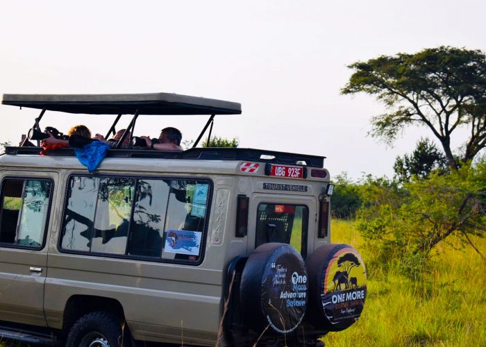 the-ultimate-safari-game-drive