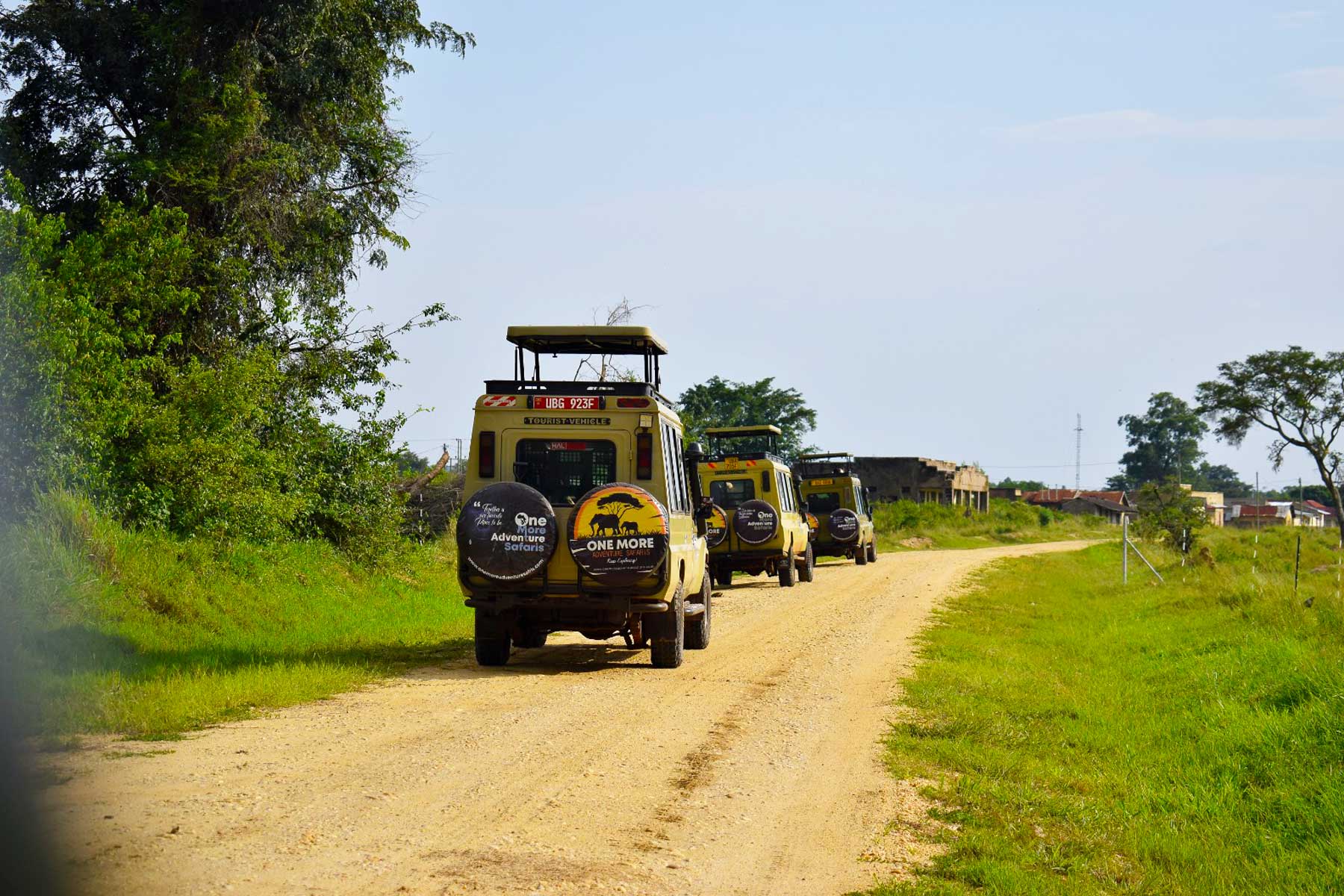 12-days-uganda-tanzania-gorilla-trekking-and-wildlife-adventure