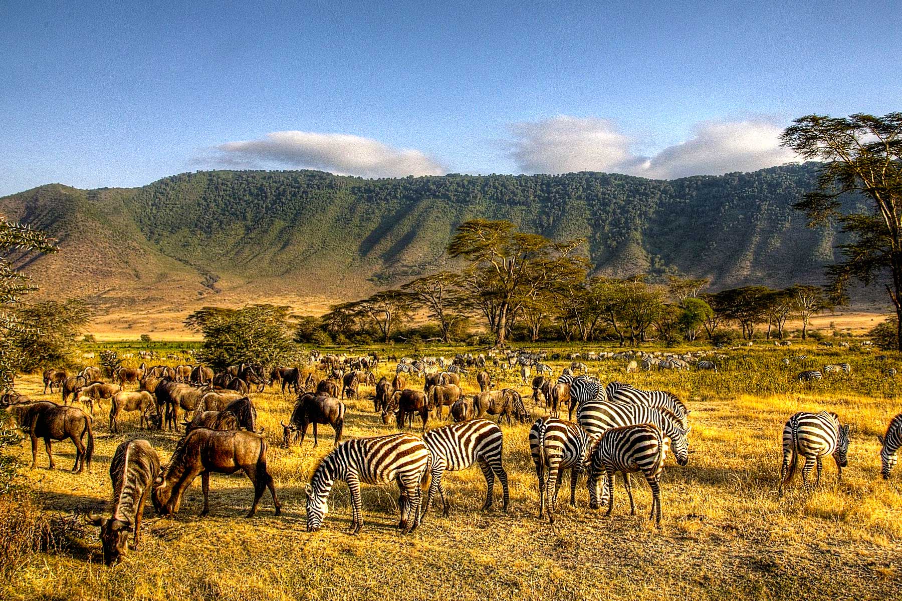 9-days-kenya-tanzania-wildlife-adventure-safari