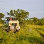 kenya-uganda-combined-safari-experience