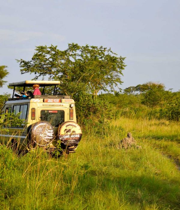 kenya-uganda-combined-safari-experience