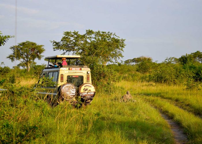 kenya-uganda-combined-safari-experience