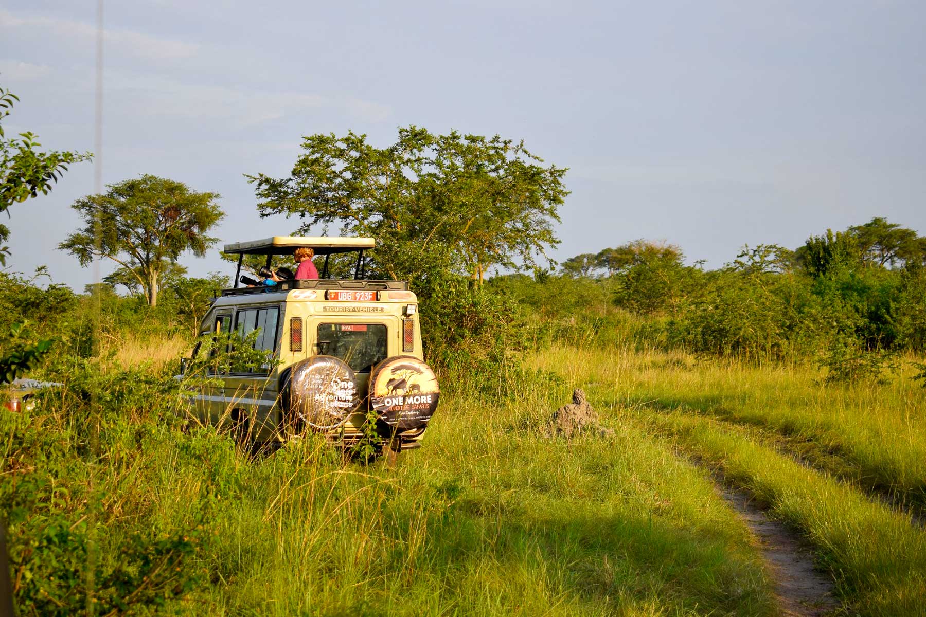 kenya-uganda-combined-safari-experience